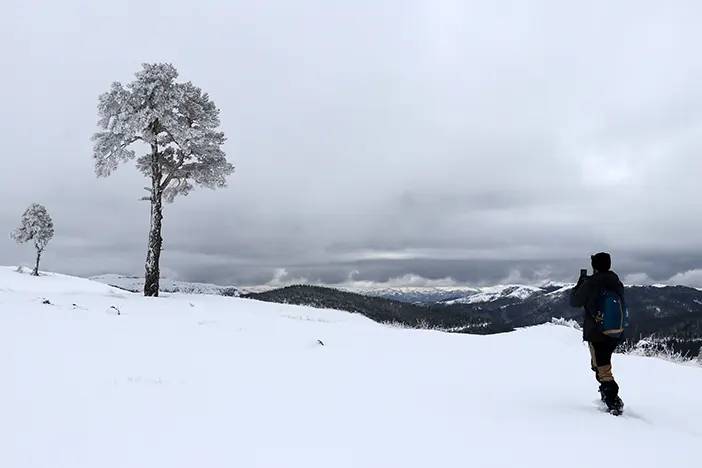 Gümüşhane'deki Tersun Dağı'nda doğa yürüyüşü 3